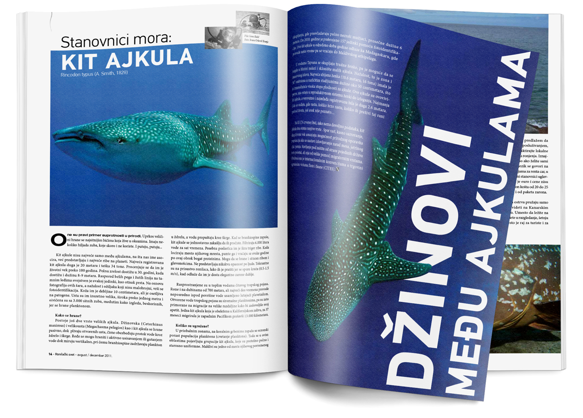 diving-magazine